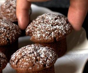 Chocolate Yogurt Snack Cakes