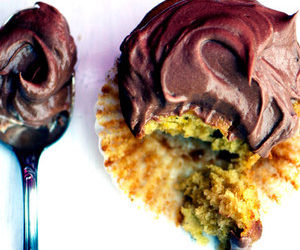 Yellow Squash Cupcakes with Chocolate Frosting