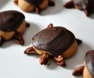 Snappy Turtle Cookies Recipe