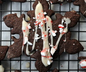 Chocolate Peppermint Snowflake Cookies Recipe