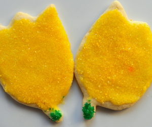 Iced Lemon Tulip Cookies Recipe