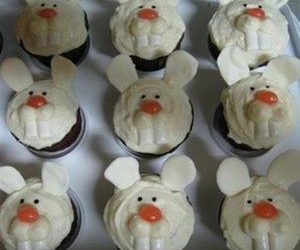 Bunny Cupcakes