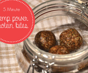 5-Minute Hemp Power Protein Bites