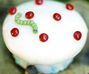 Toadstool Cupcakes