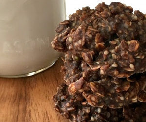 Hemp Seed & Oatmeal No-Bake Cookies recipes