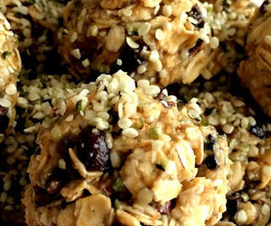 Cacao Hemp Oatmeal Bites recipes