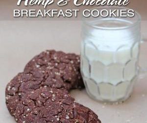 Hemp & Chocolate Breakfast Cookies {Re