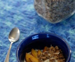 Granola with Coconut Flakes and Hemp Hearts