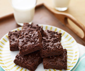 Cocoa Brownies