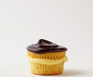 Boston Creme Cupcakes