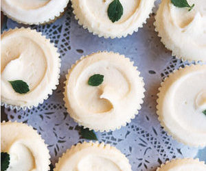 Vanilla Cupcakes