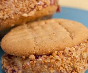 Sunny’s Quick PB and J Ice Cream Cookies