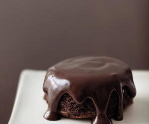 Double Chocolate Cupcakes I