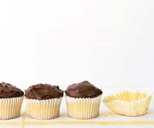 Chocolate Frosted Cupcakes