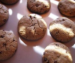 Chocolate Chip Cookies And Vanilla Brownies