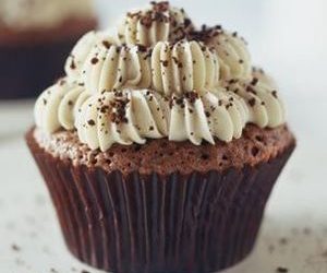 Chocolate Cupcakes