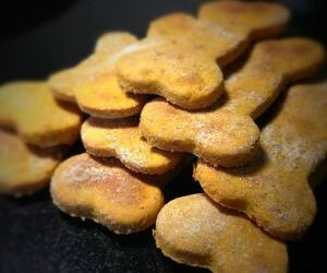 Cannabis Infused Dog Treats