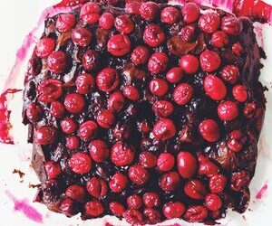 Cranberry Brownies